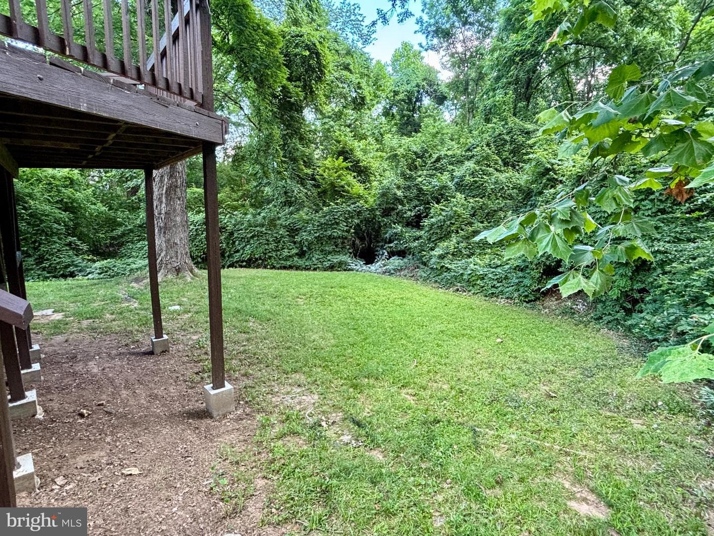 208 Keyes Court photo 60