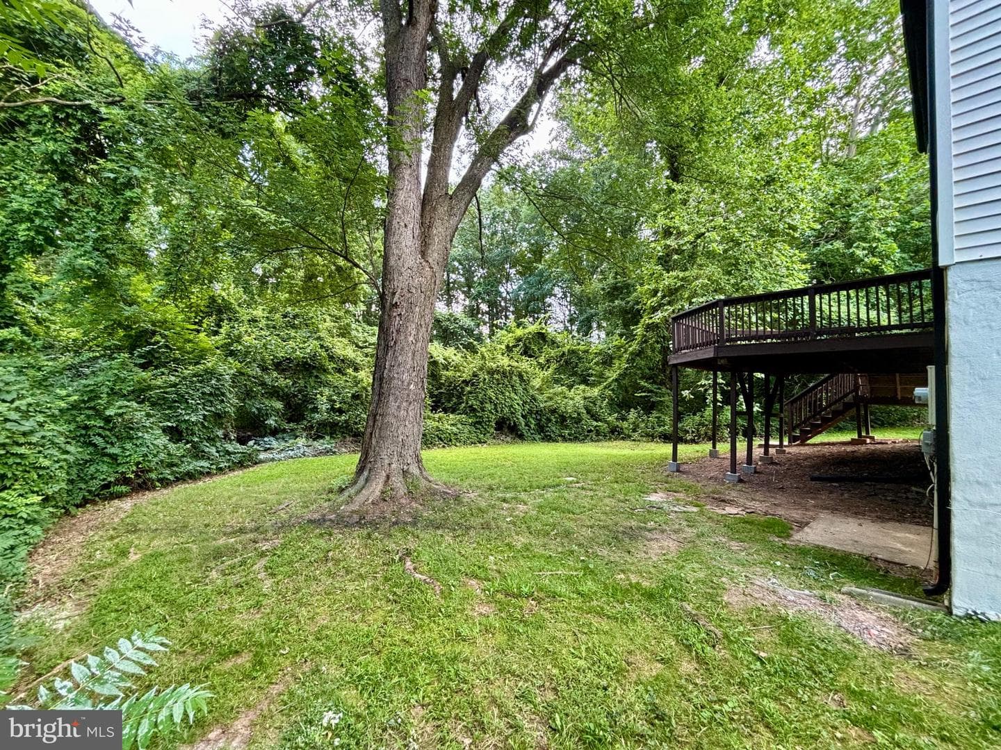 208 Keyes Court photo 62