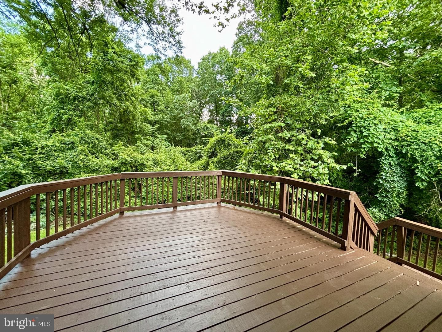 208 Keyes Court photo 63