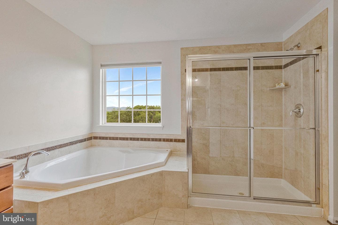 43084 Little Angel Court photo 20