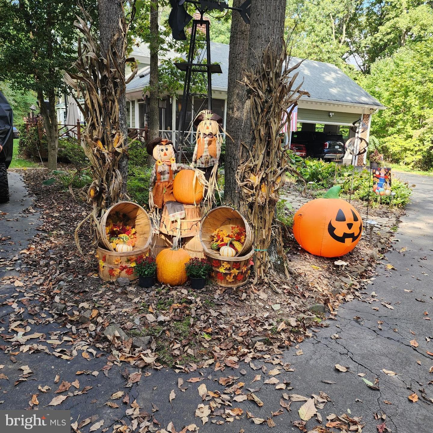 20561 Woodcock Court photo 51