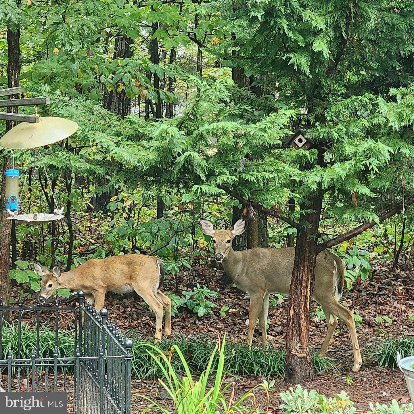 20561 Woodcock Court photo 58
