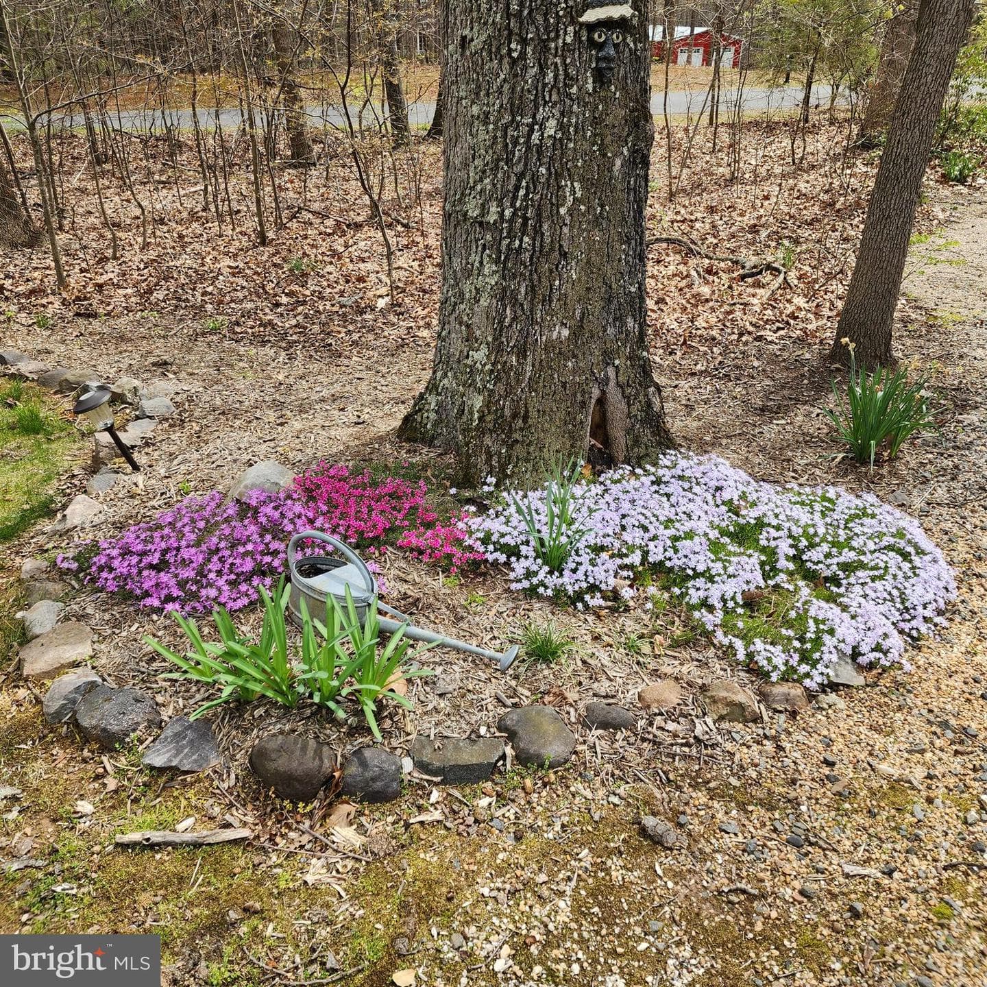 20561 Woodcock Court photo 59