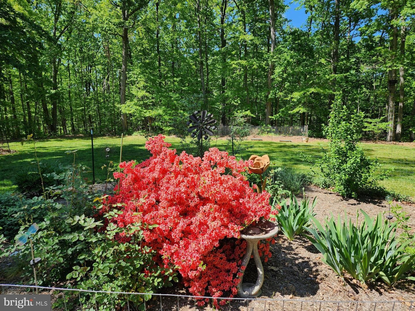 20561 Woodcock Court photo 60
