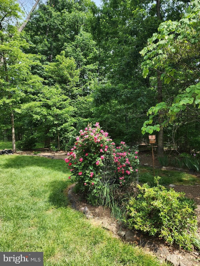 20561 Woodcock Court photo 68