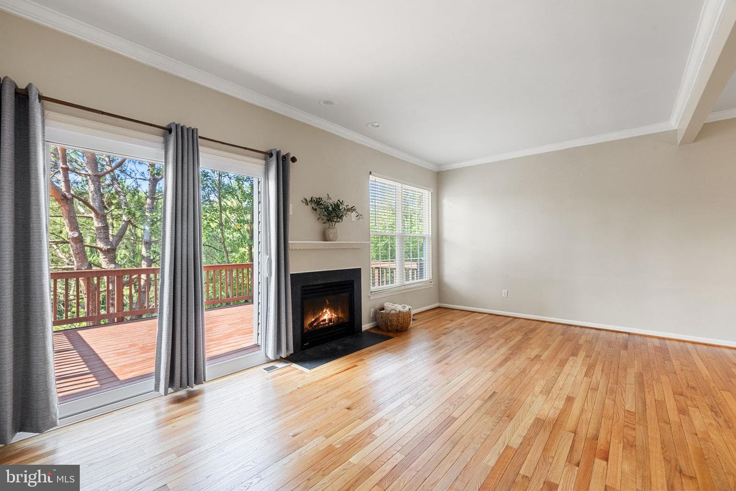45537 Lake Haven Terrace photo 23