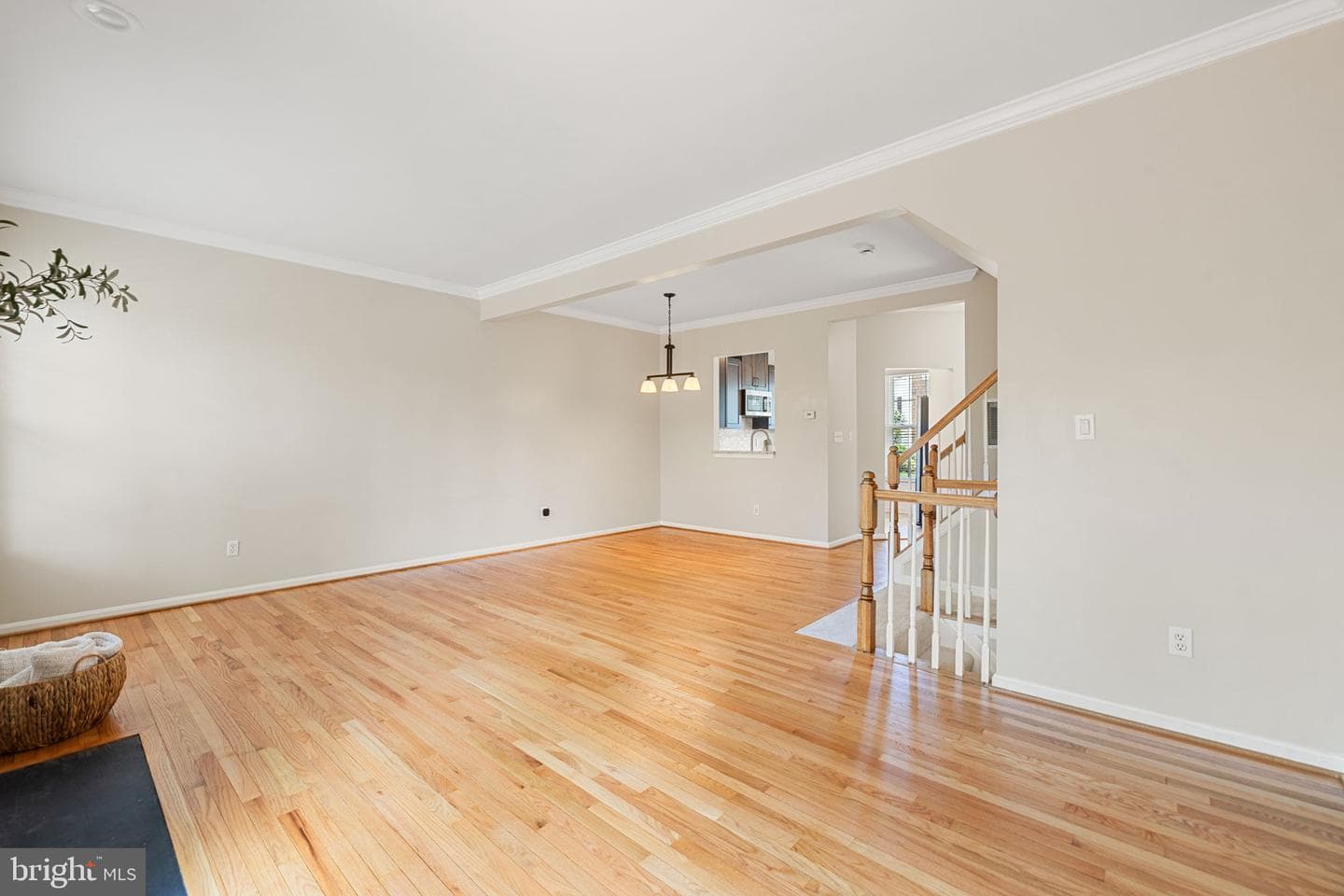 45537 Lake Haven Terrace photo 25