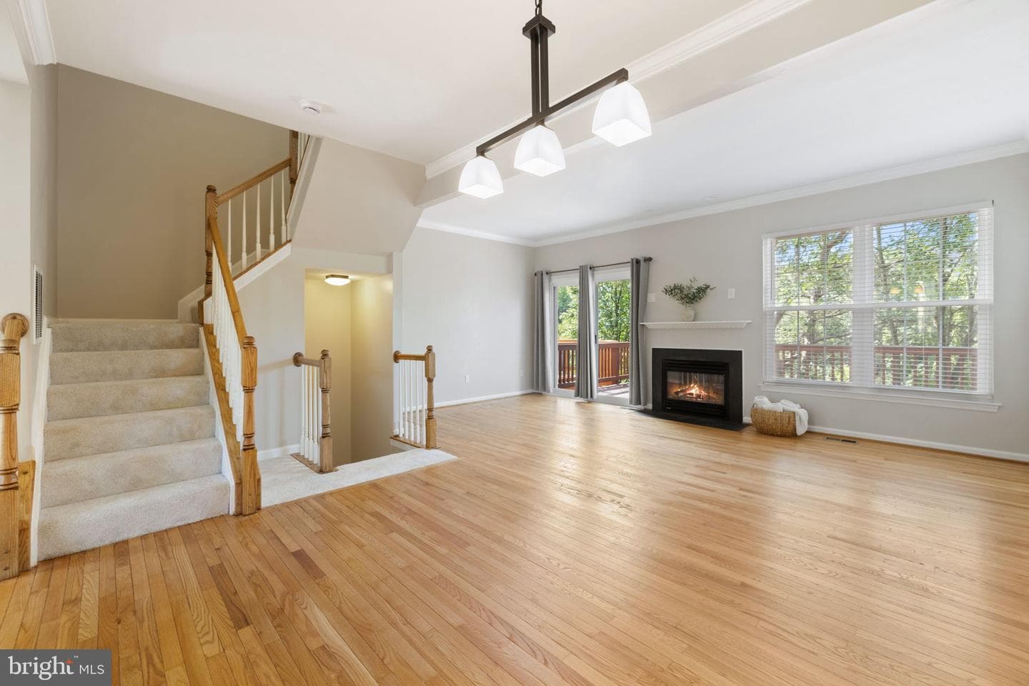 45537 Lake Haven Terrace photo 3