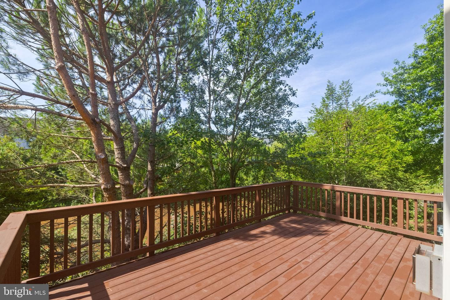 45537 Lake Haven Terrace photo 4