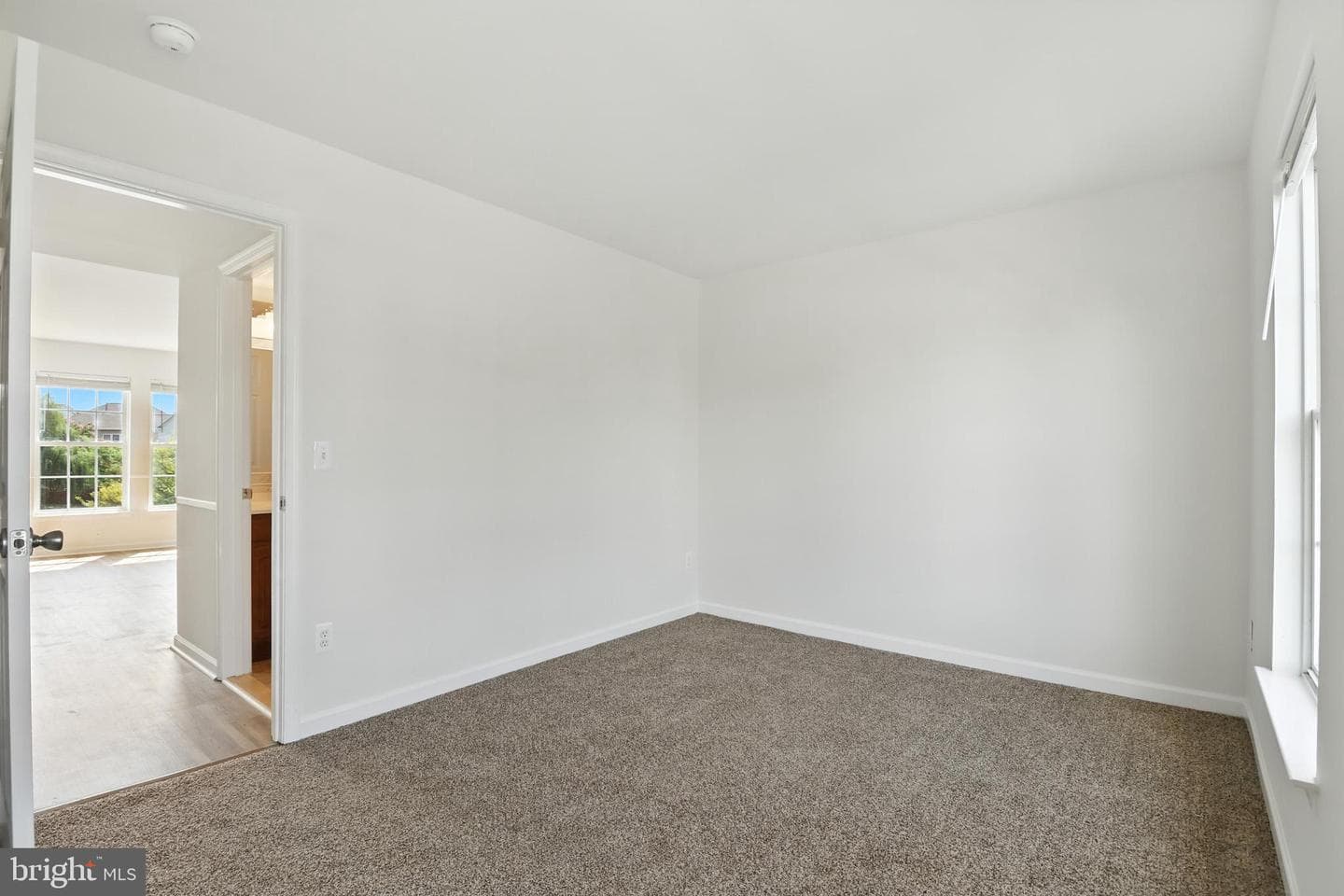 20943 Colecroft Square photo 21