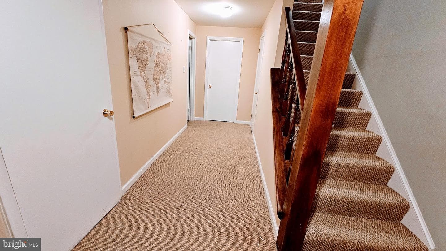 18 Hopton Court photo 21