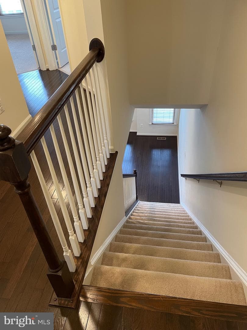 43302 Foyt Terrace photo 16