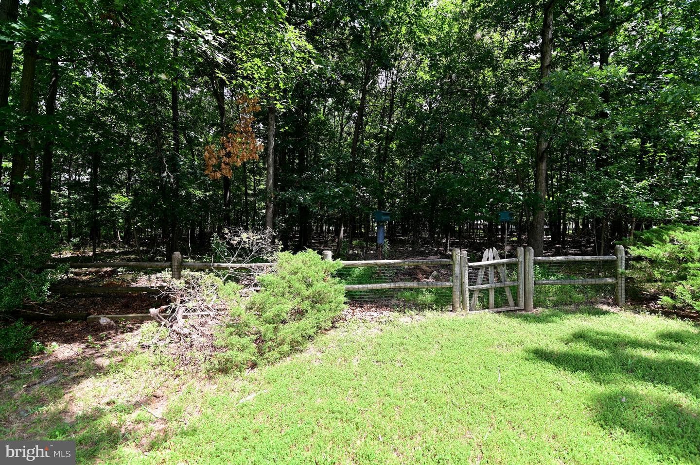 104 Silverleaf Court photo 13