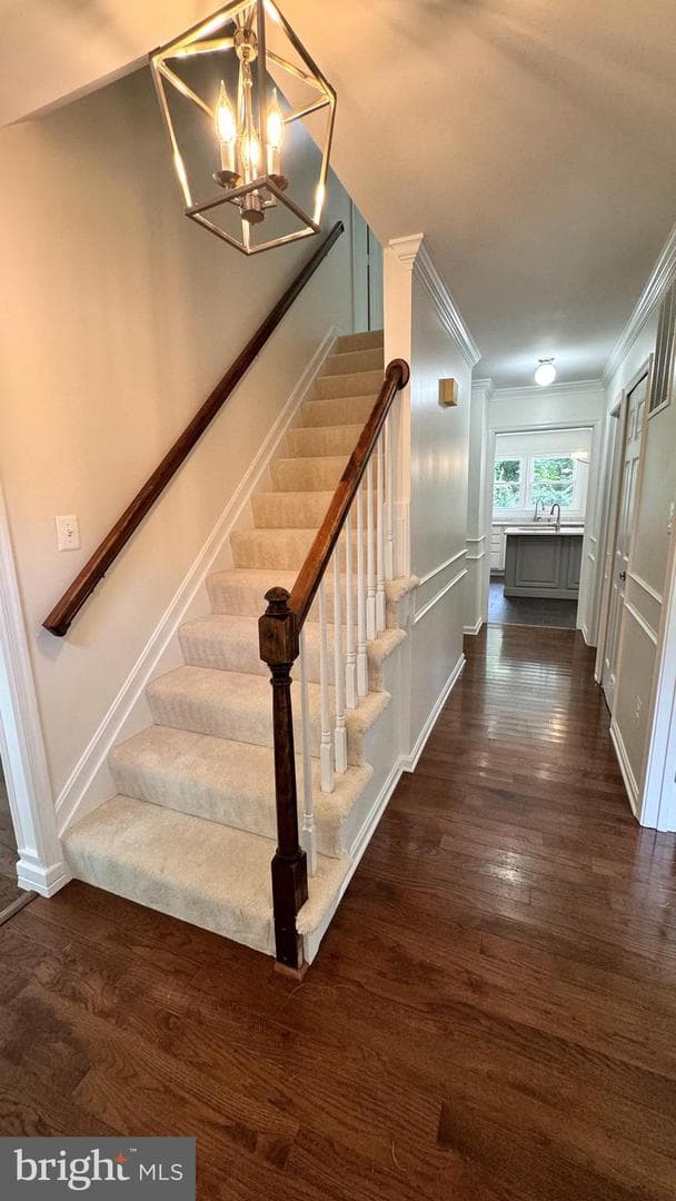 13 Crisswell Court photo 15