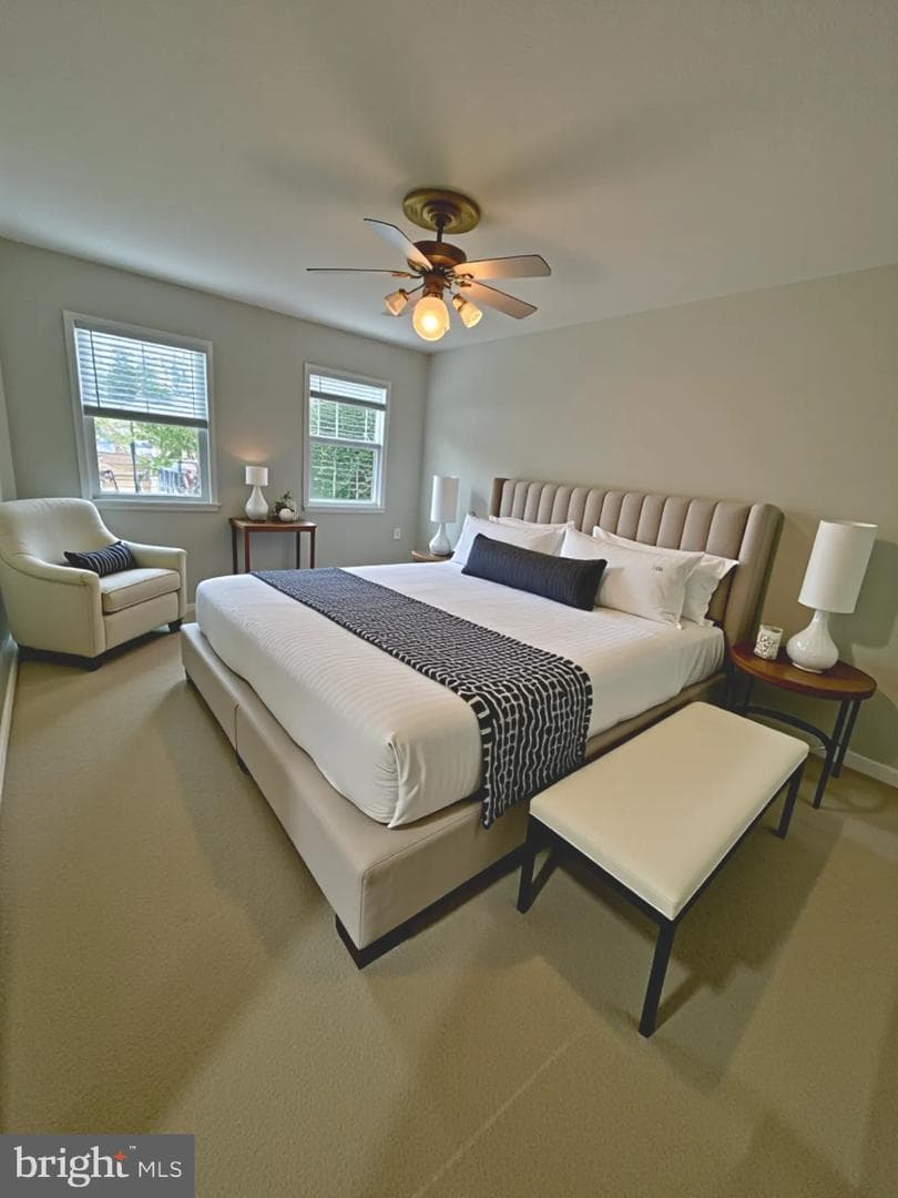 13 Crisswell Court photo 19