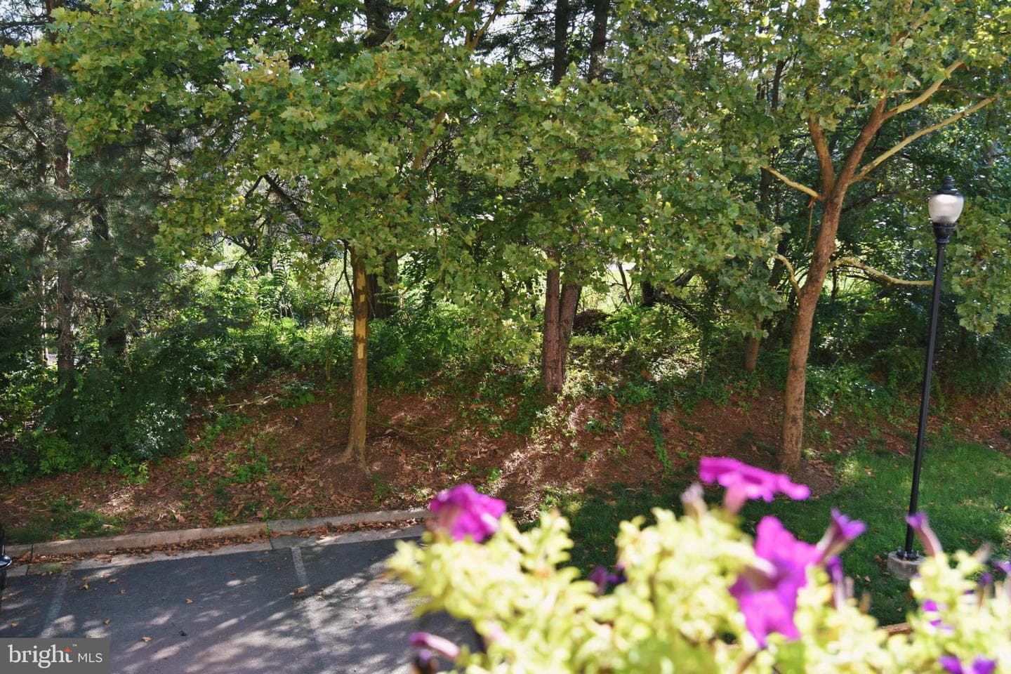 44257 Suscon Square photo 18