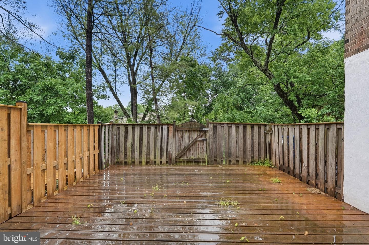 502 Giles Place photo 34