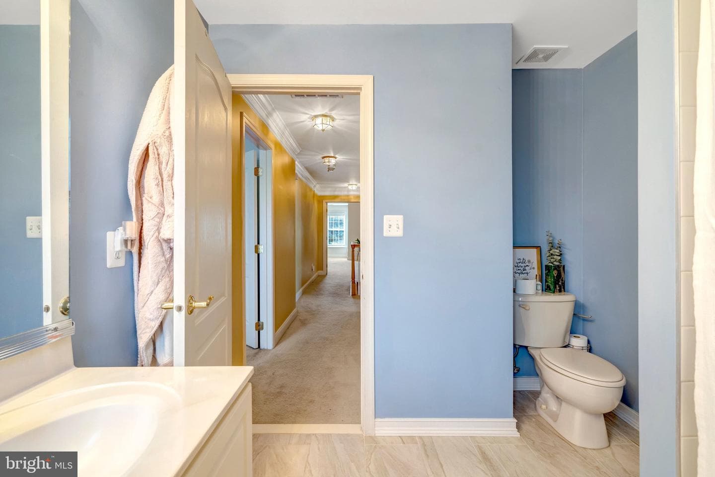 25675 Tremaine Terrace photo 48