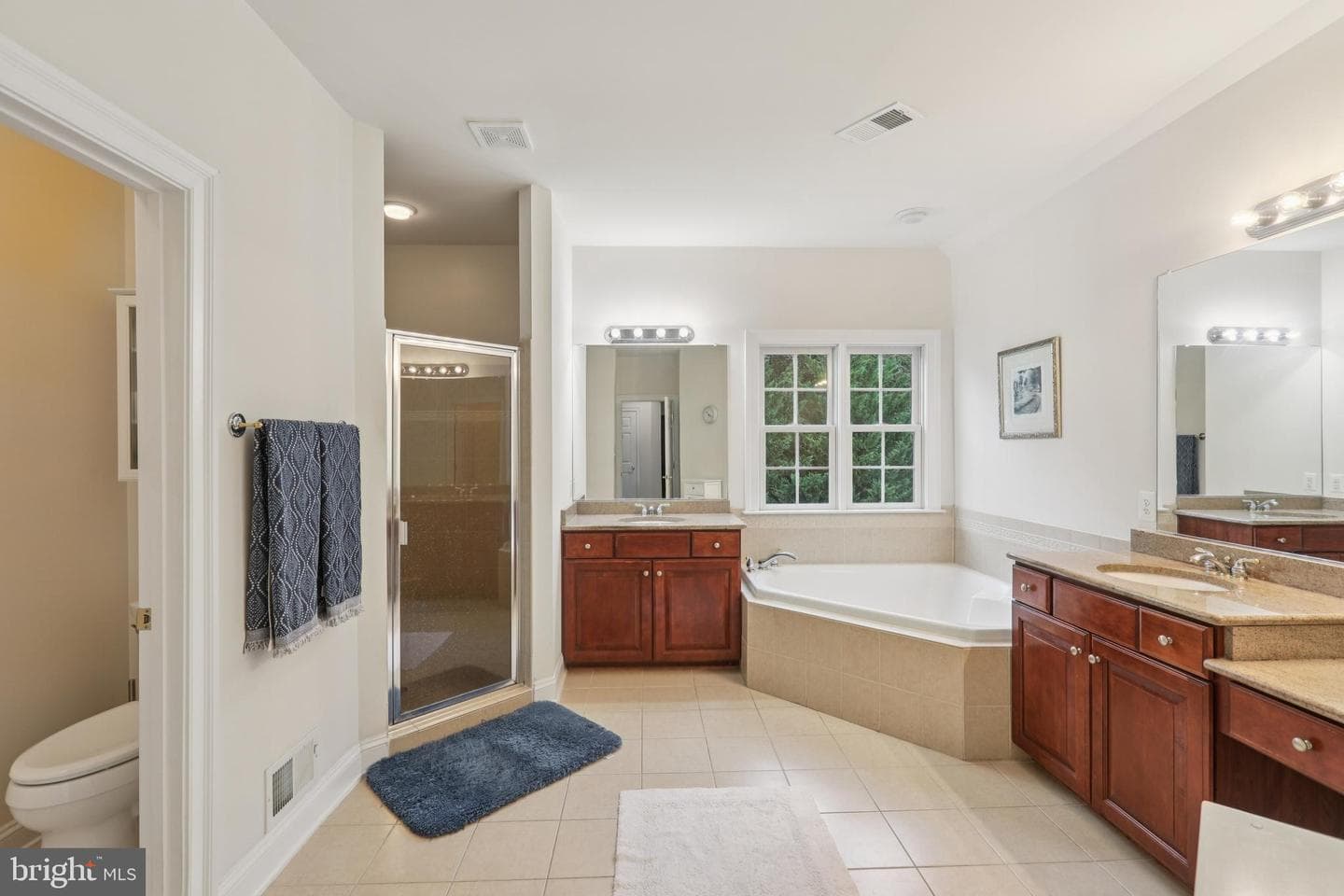 42804 Appaloosa Trail Court photo 41