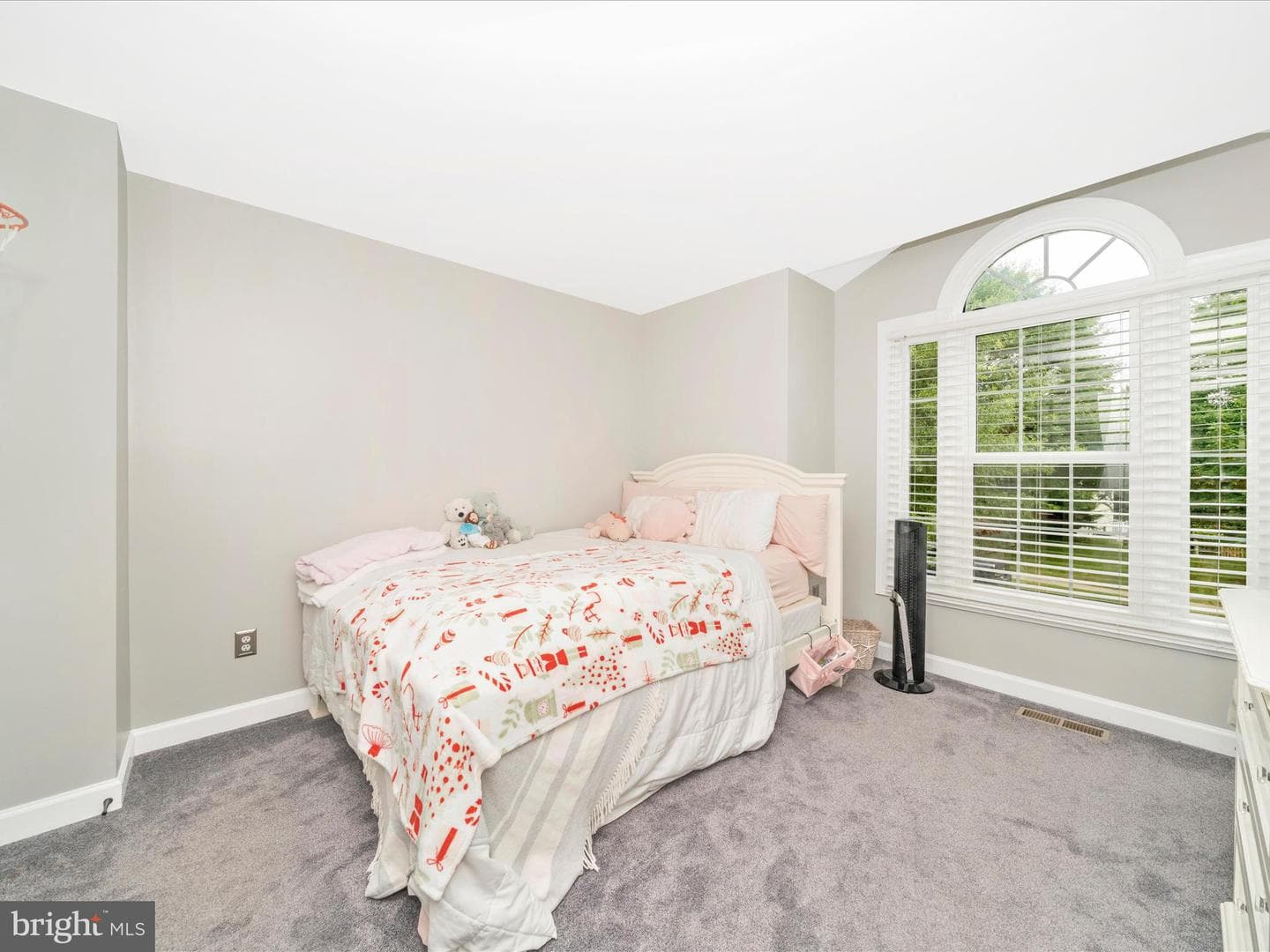 19025 Snowberry Court photo 30