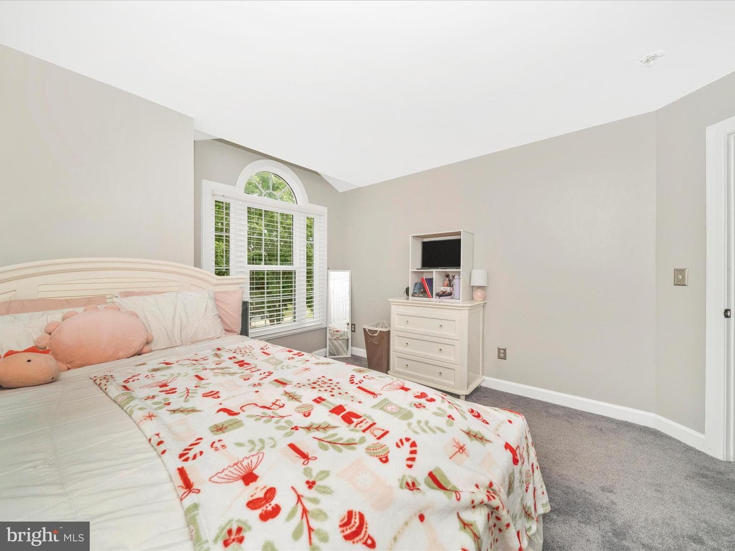19025 Snowberry Court photo 31