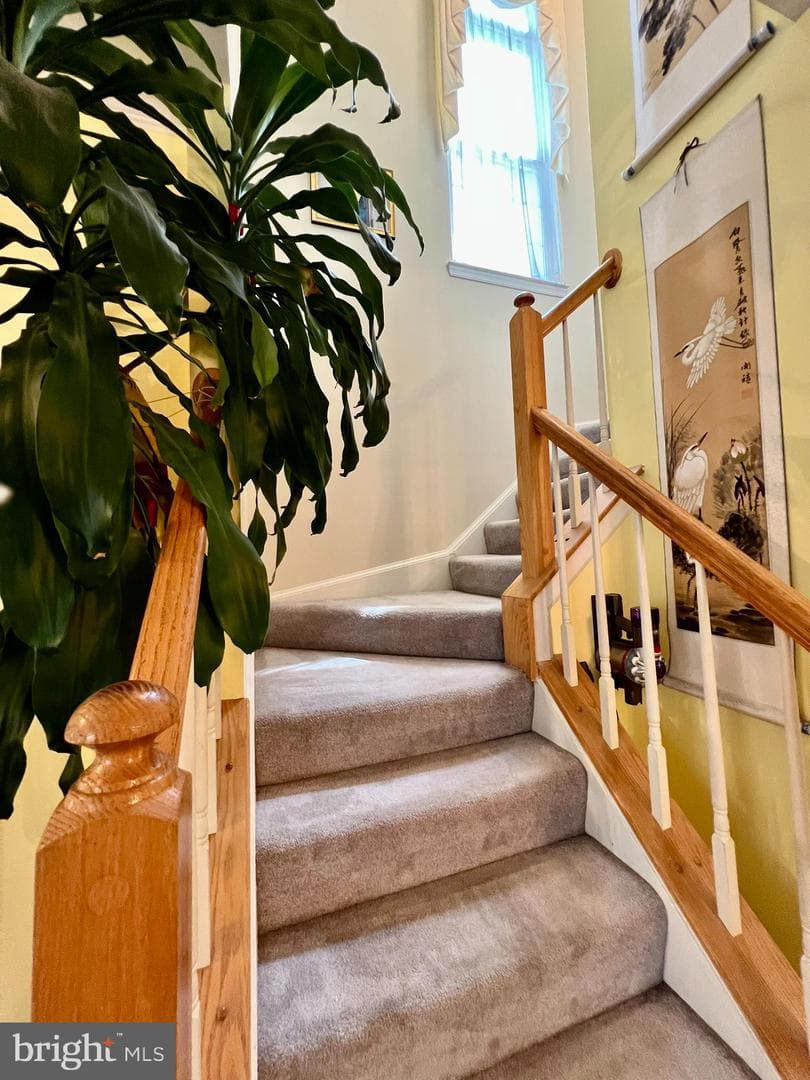 47379 Darkhollow Falls Terrace photo 28