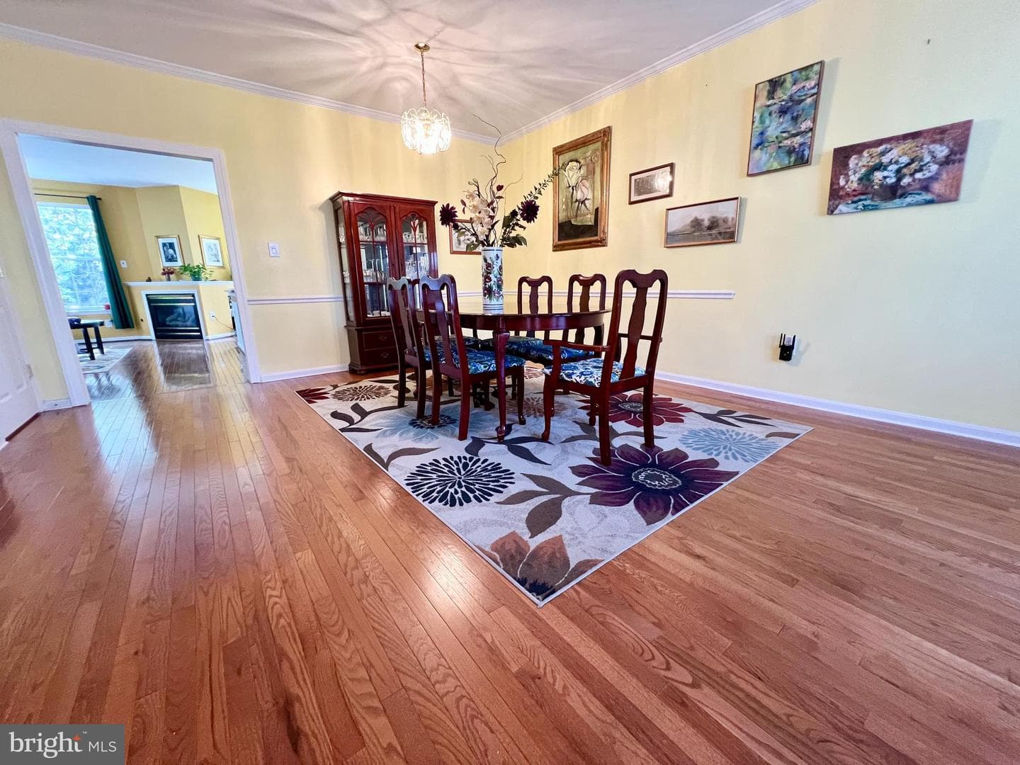 47379 Darkhollow Falls Terrace photo 4