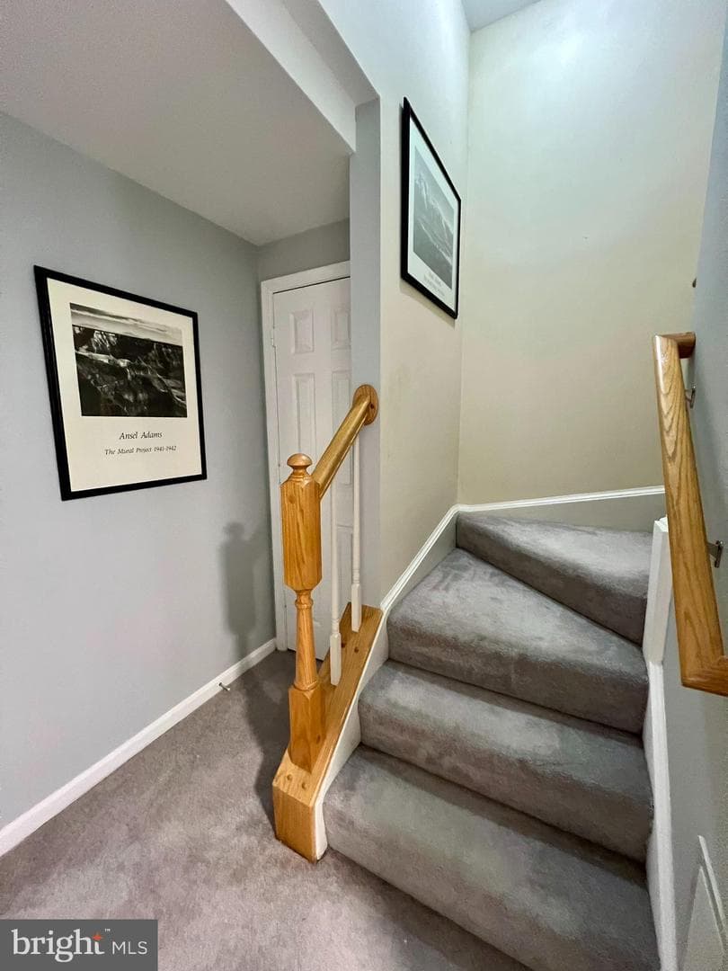 47379 Darkhollow Falls Terrace photo 49