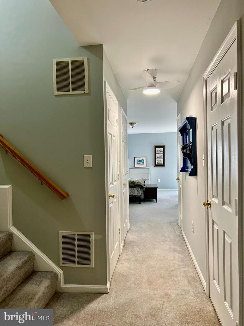 47379 Darkhollow Falls Terrace photo 50