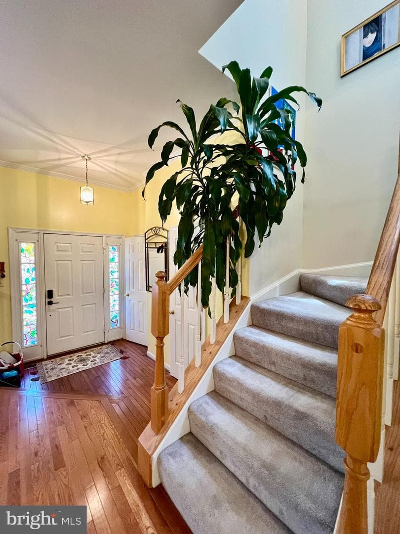 47379 Darkhollow Falls Terrace photo 8