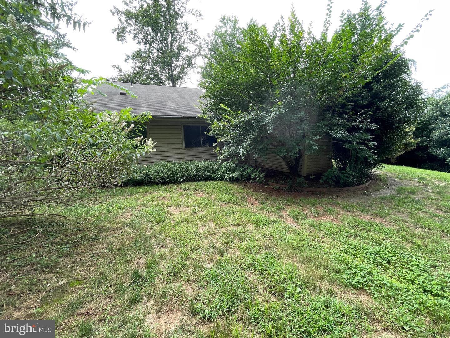 229 W Meadowland Lane W photo 26