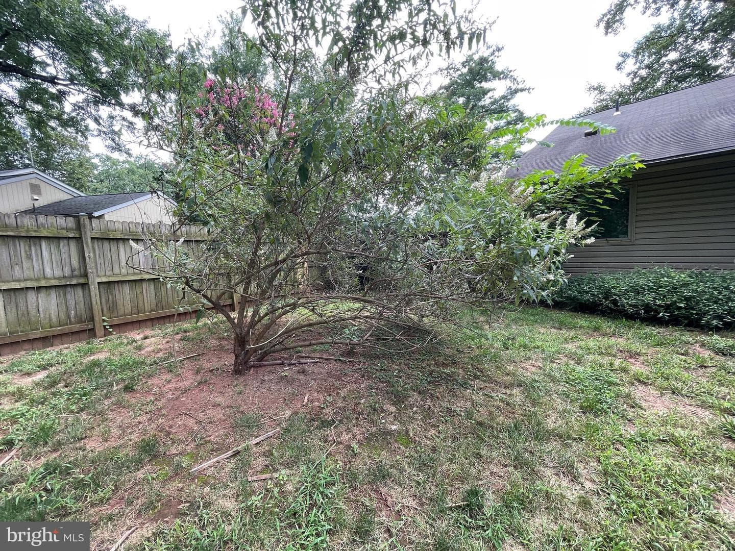 229 W Meadowland Lane W photo 27