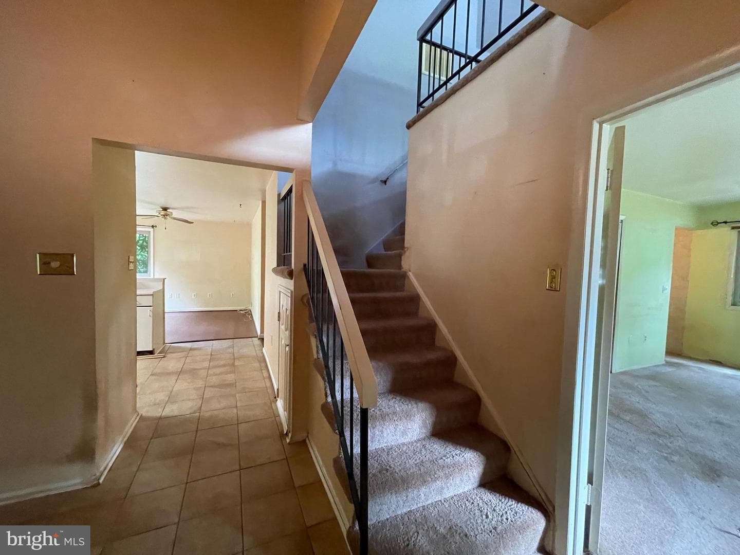 229 W Meadowland Lane W photo 50