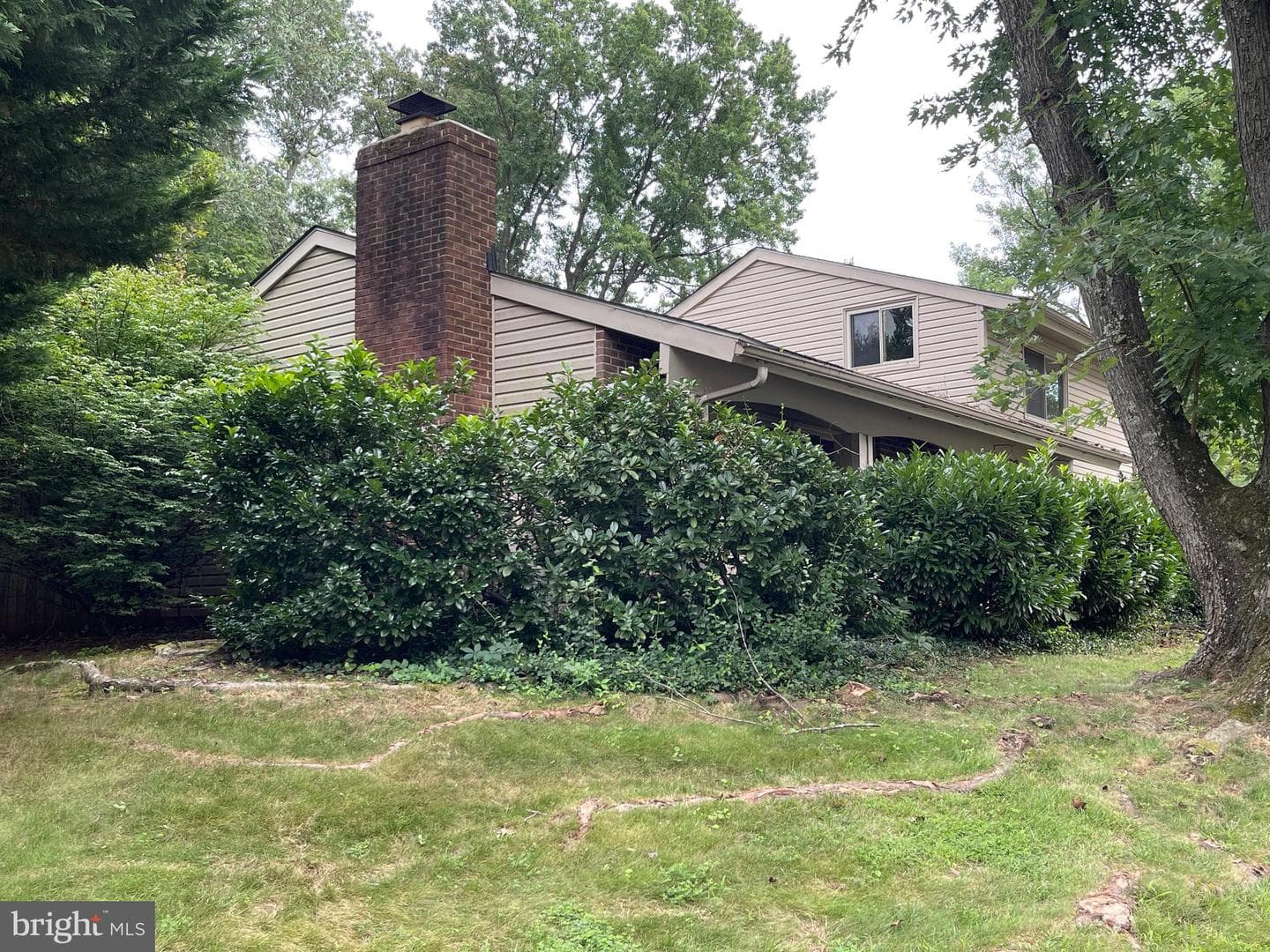 229 W Meadowland Lane W photo 64