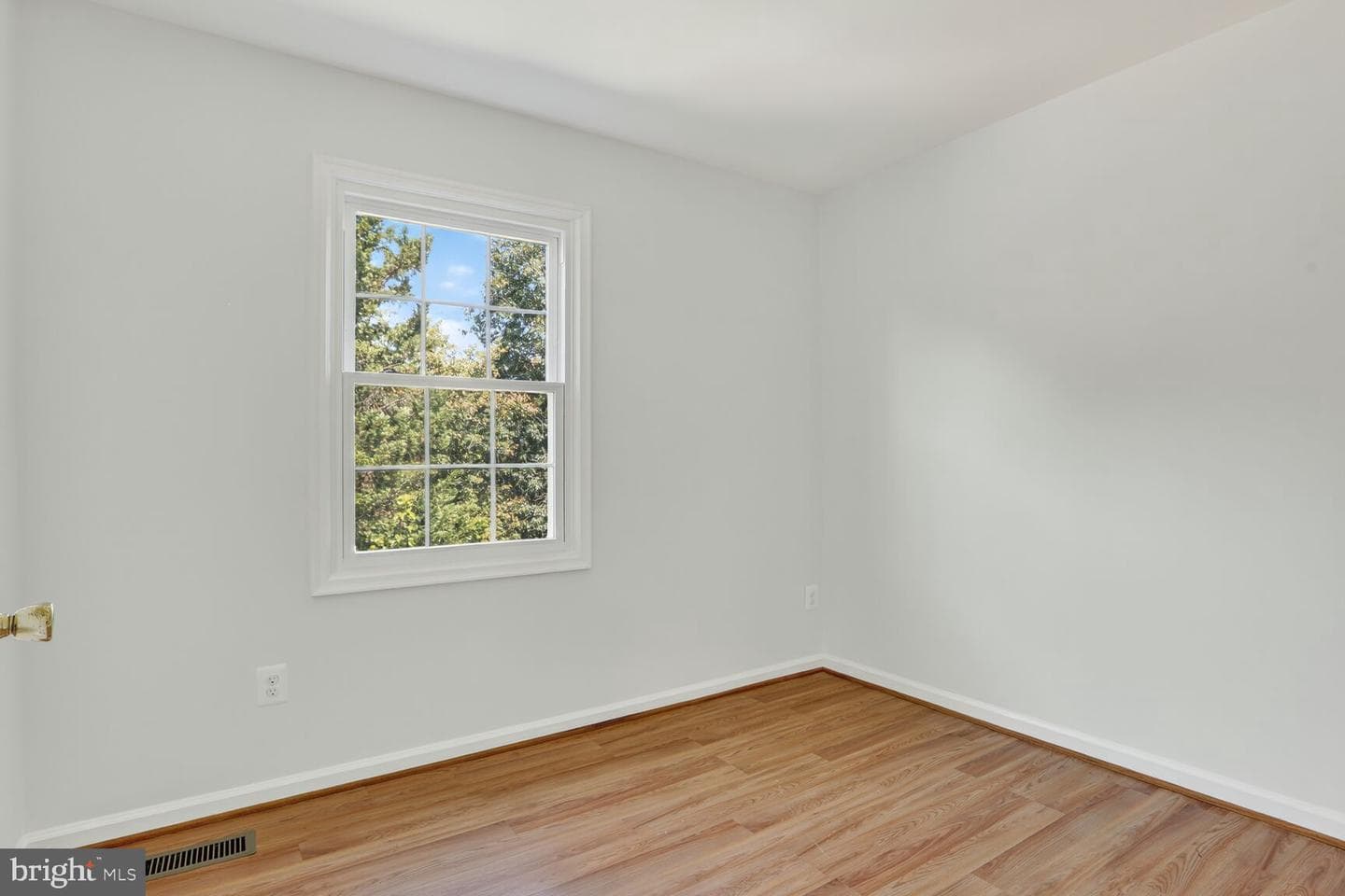 21747 Leatherleaf Circle photo 22