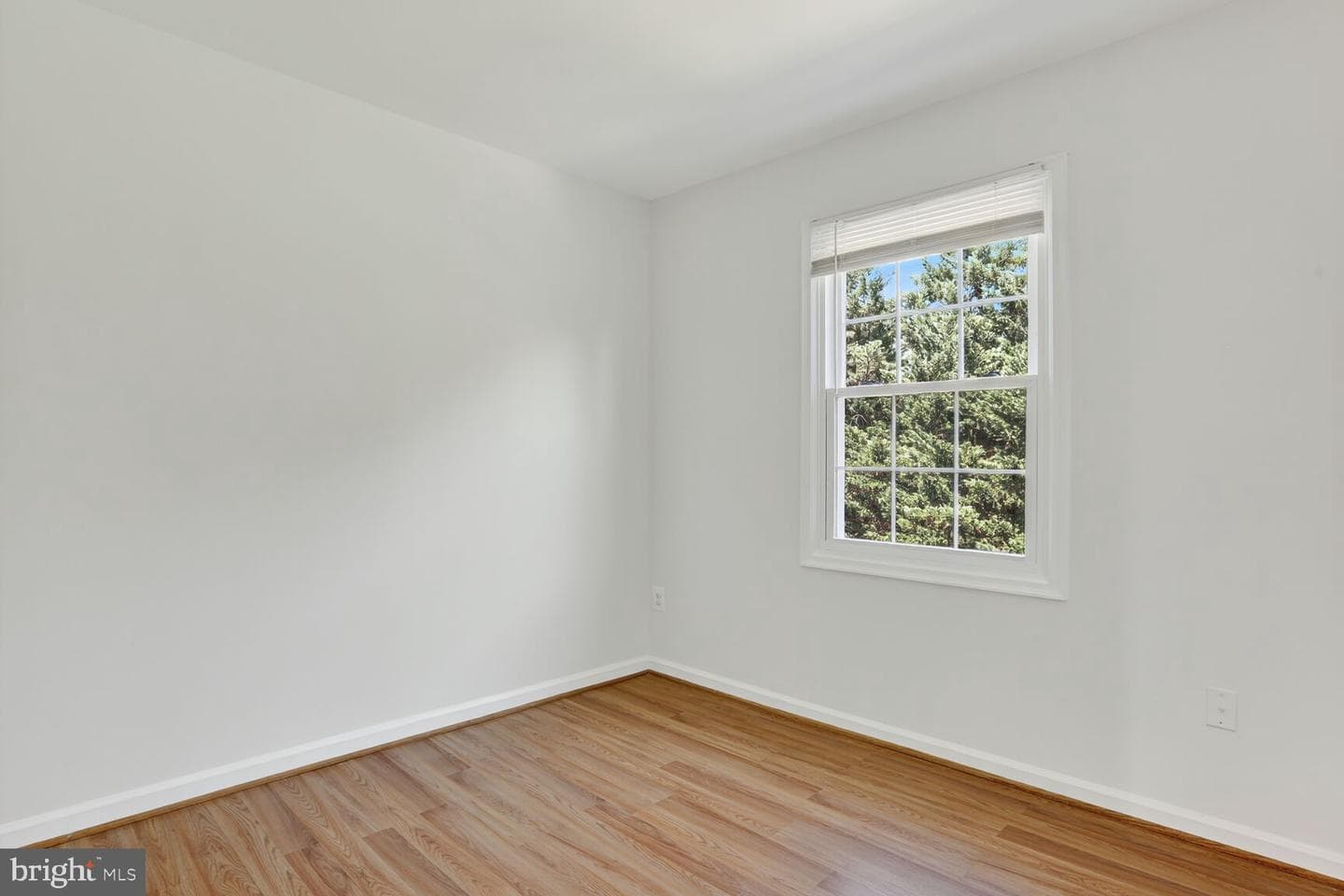 21747 Leatherleaf Circle photo 23