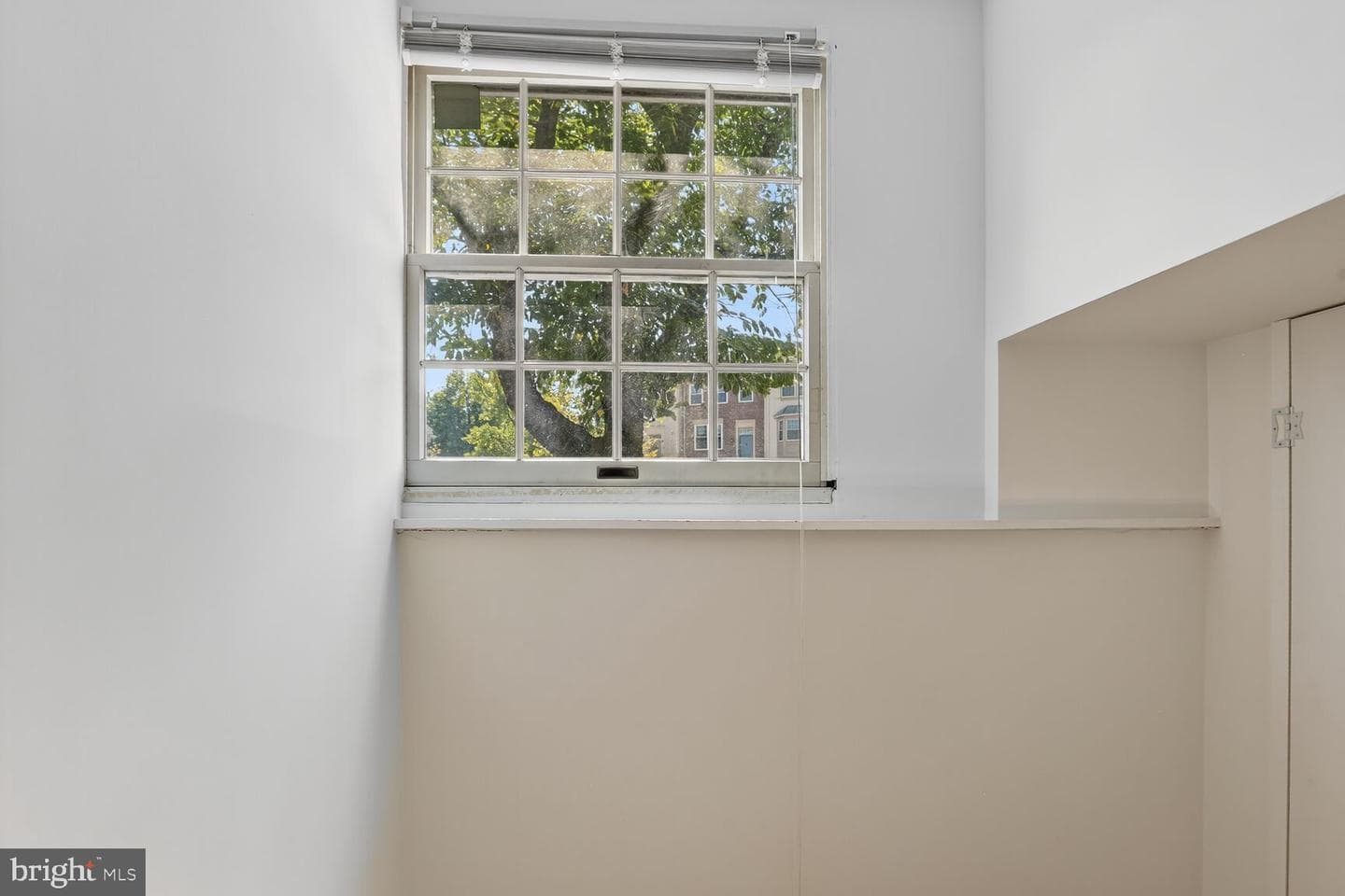 21747 Leatherleaf Circle photo 34