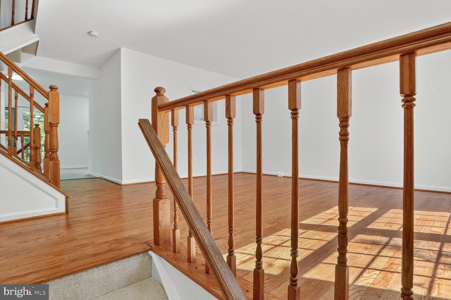 21747 Leatherleaf Circle photo 5