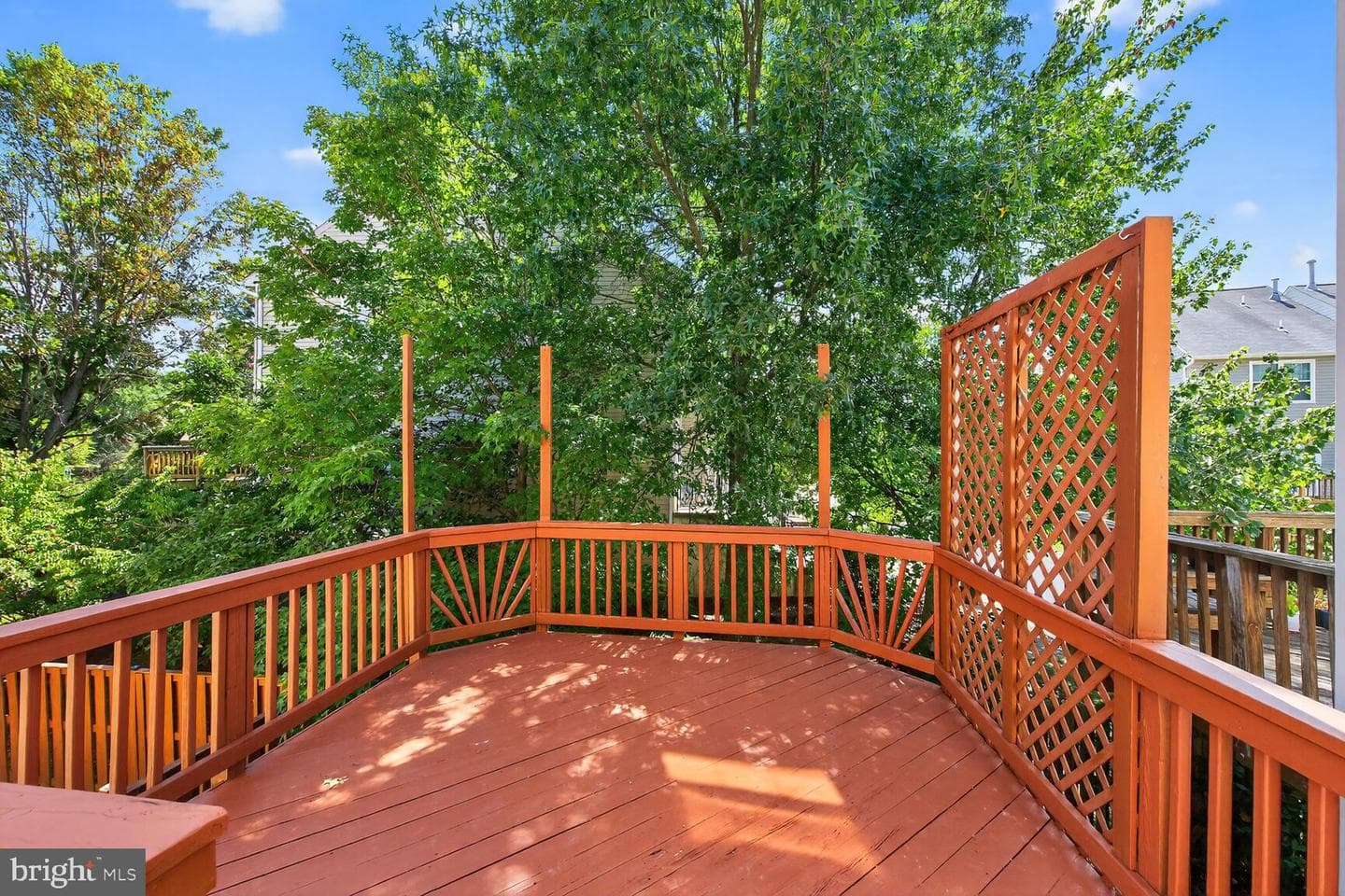 20162 Hardwood Terrace photo 34