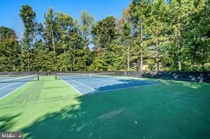 47724 Bowline Terrace photo 35