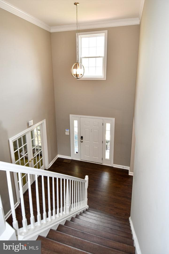 43281 John Danforth Court photo 26