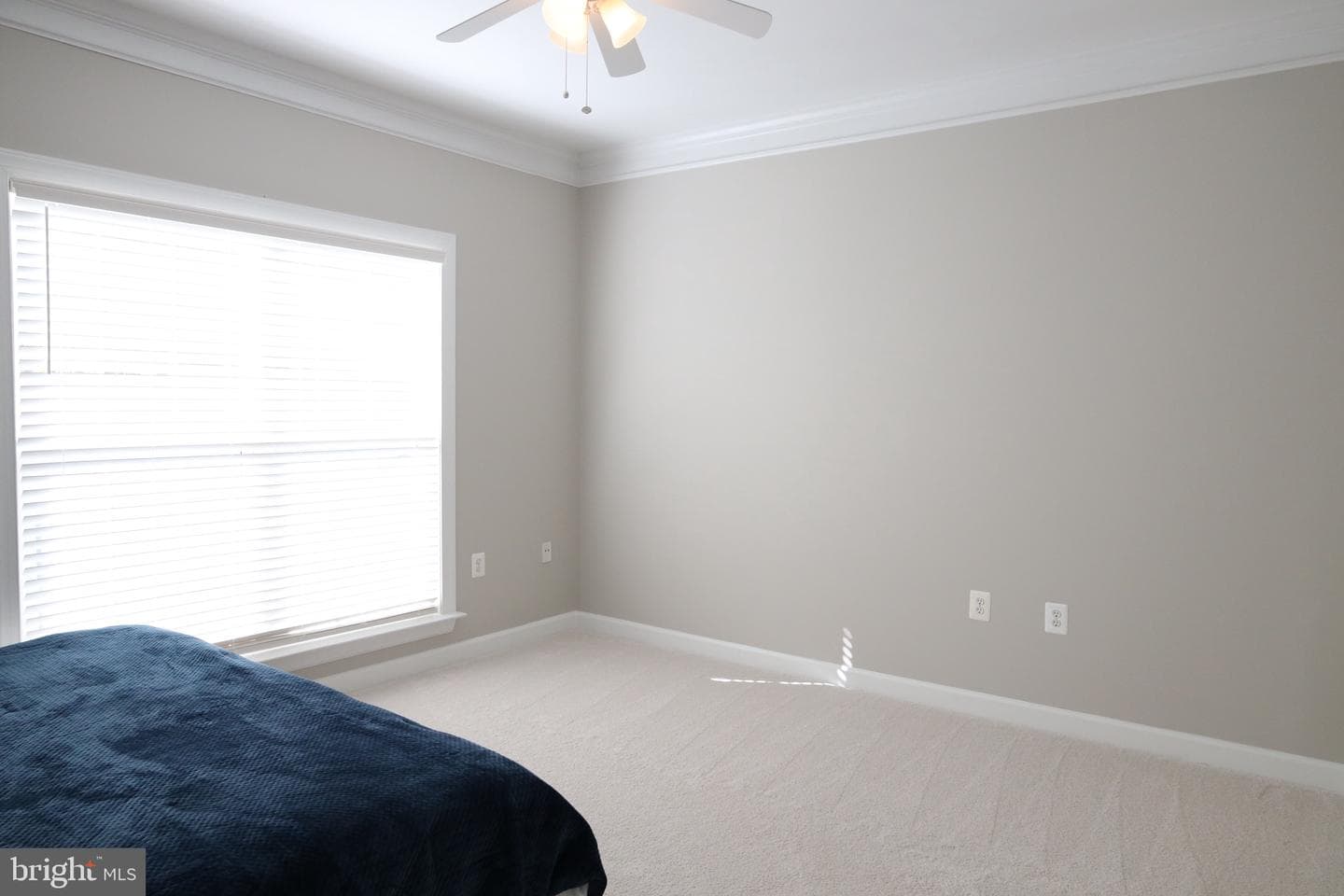 43281 John Danforth Court photo 4