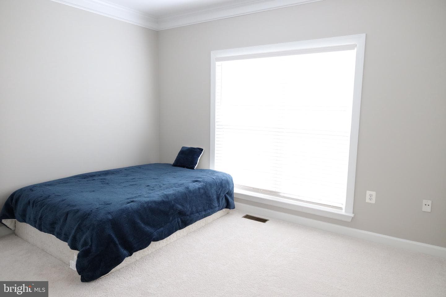43281 John Danforth Court photo 5