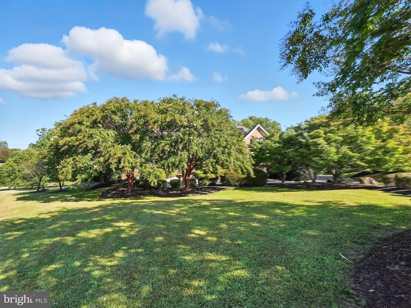 40656 Canongate Drive photo 107