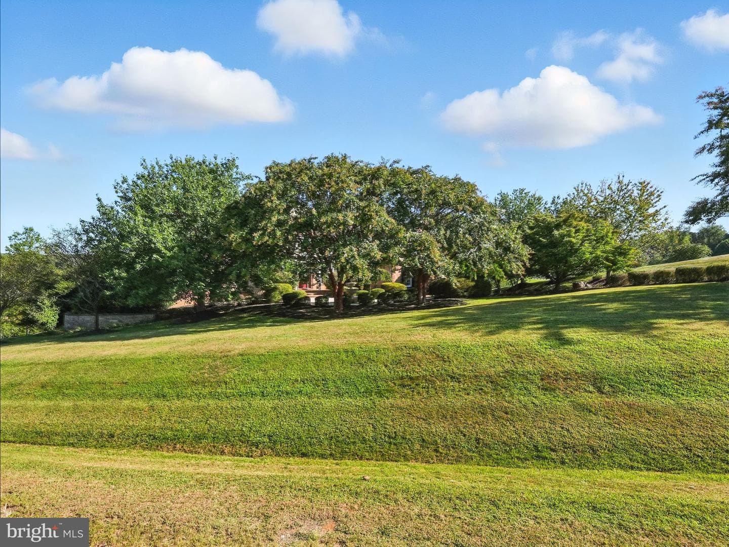 40656 Canongate Drive photo 108