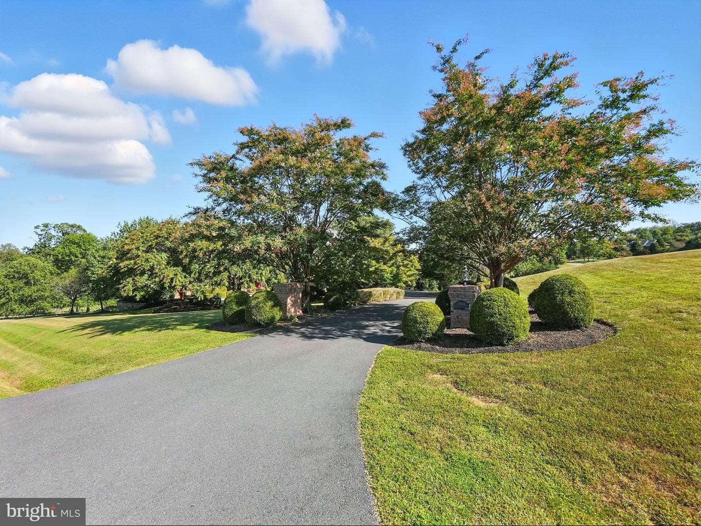 40656 Canongate Drive photo 2