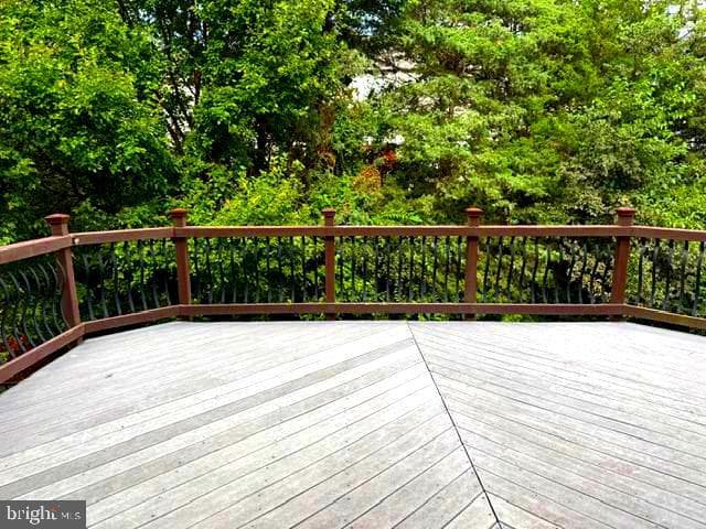 22528 Scattersville Gap Terrace photo 36