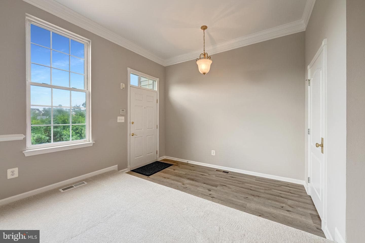 22528 Scattersville Gap Terrace photo 4