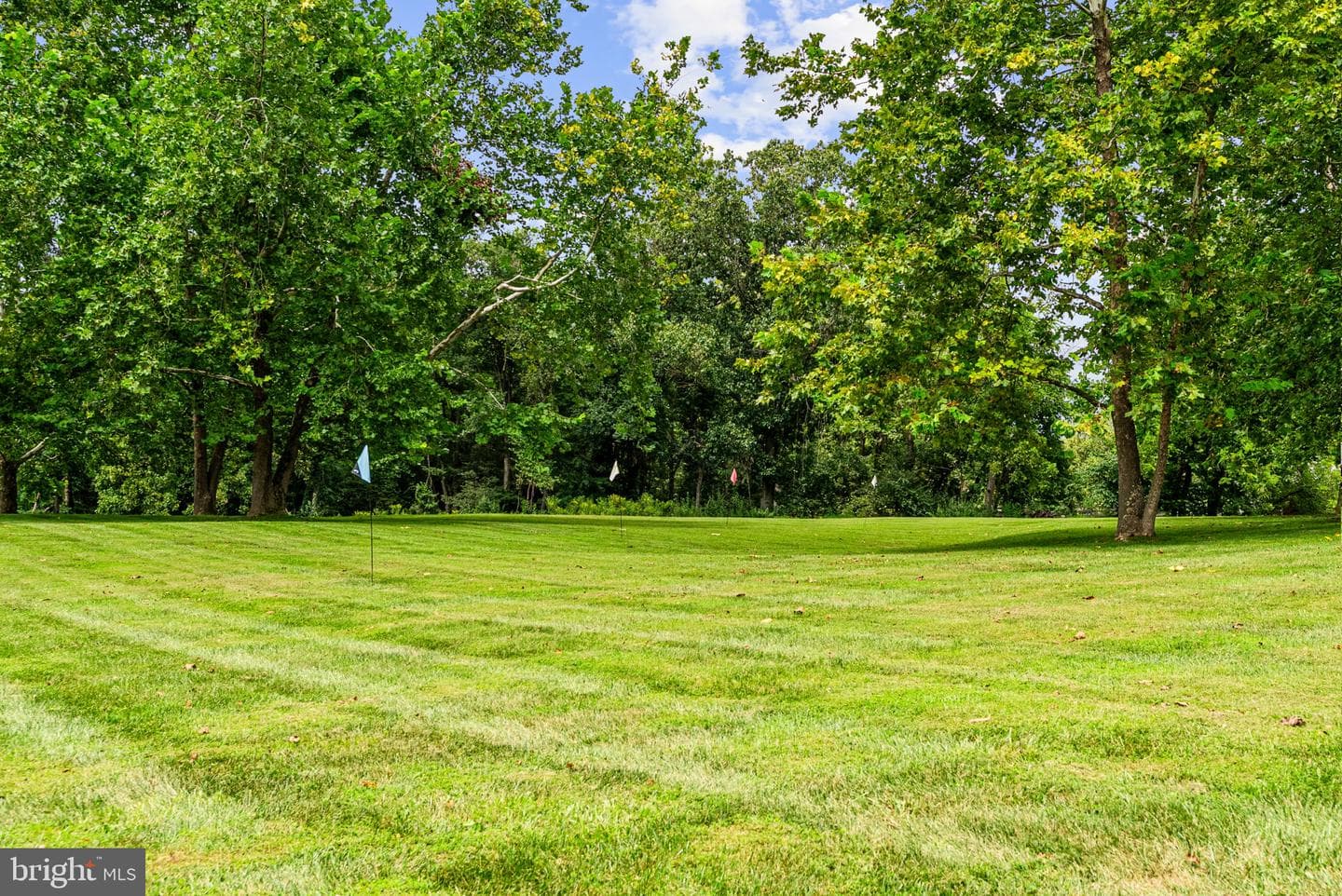 23117 Pantherskin Lane photo 66
