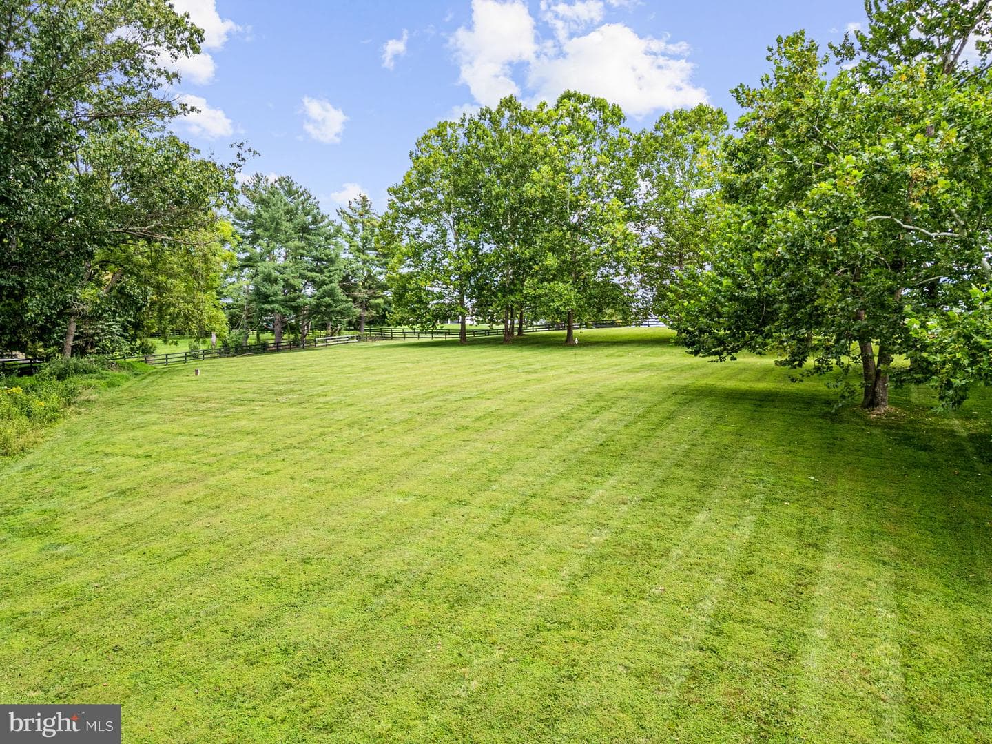 23117 Pantherskin Lane photo 67